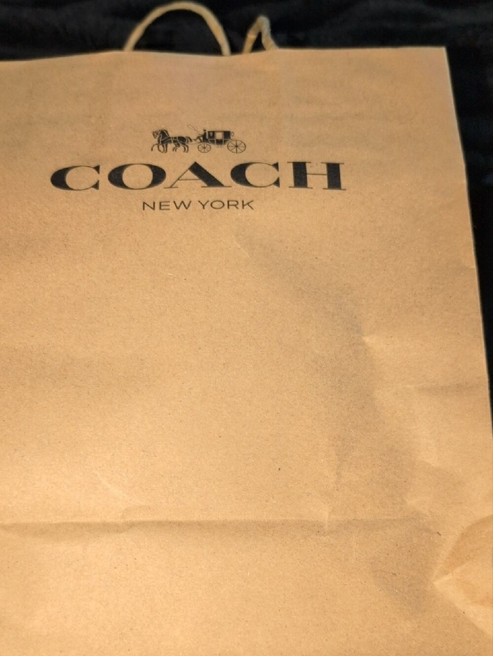 Coach Teal Signature Canvas Crossbody Camera Bag - Picture 3 of 3